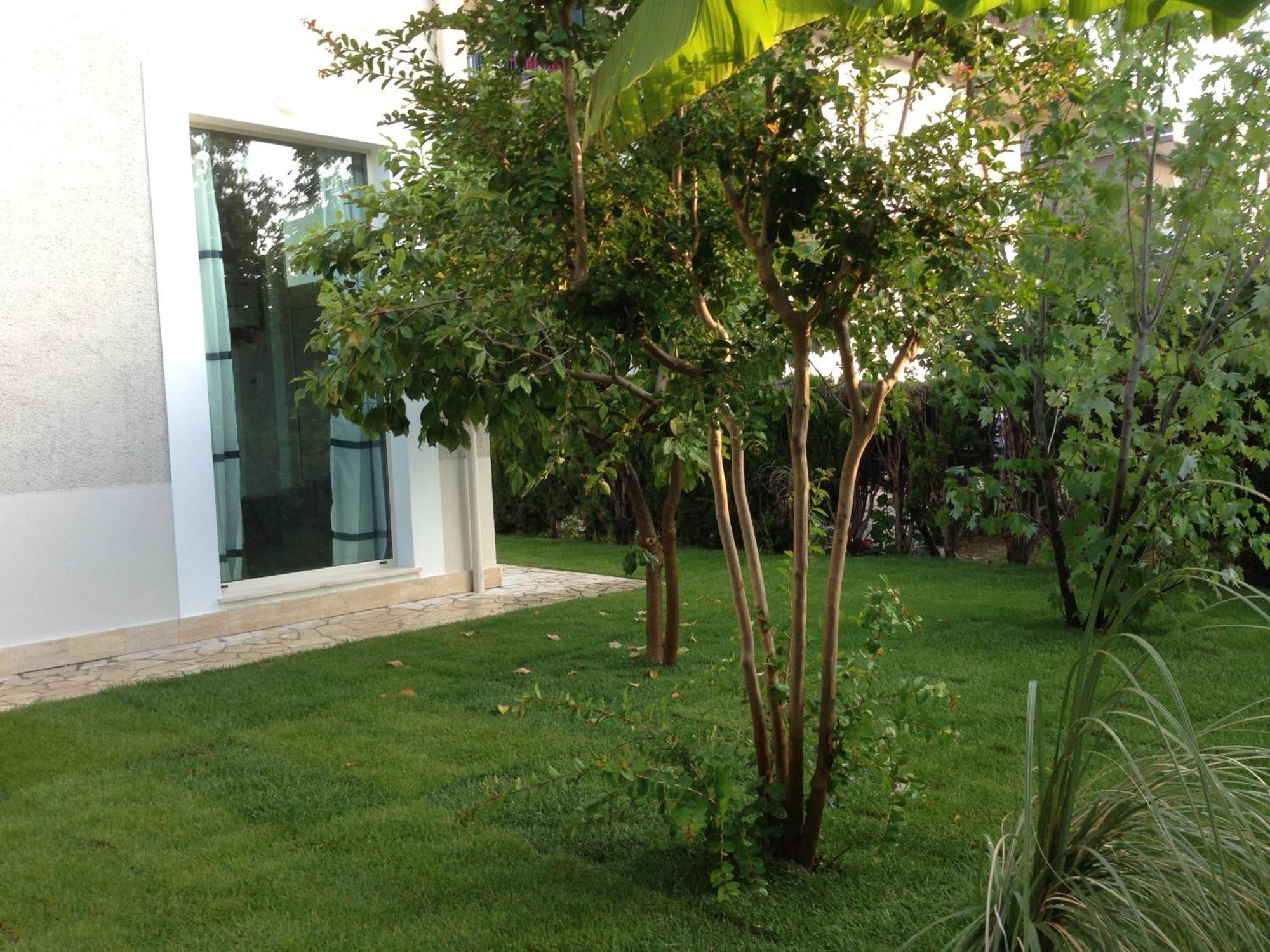 شقة Loft 3, A 150 M Dal Mare, Pineto Centro المظهر الخارجي الصورة